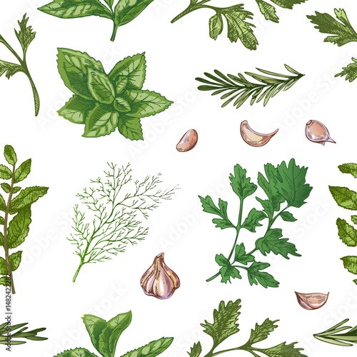 Seamless pattern of herbs and garlic in hand drawn vintage engraving style with colored elements