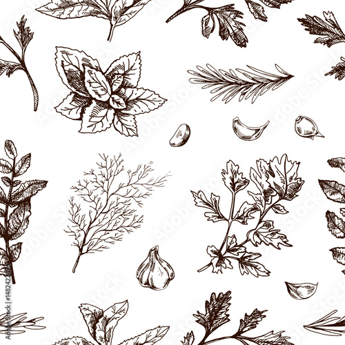 Seamless pattern of herbs and garlic in hand drawn vintage engraving style
