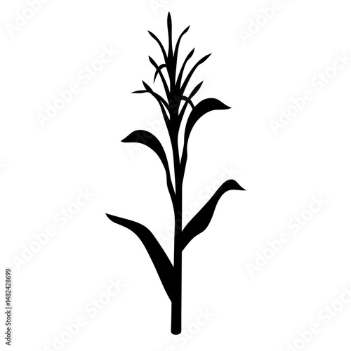 A single black silhouette of a corn stalk against a white background