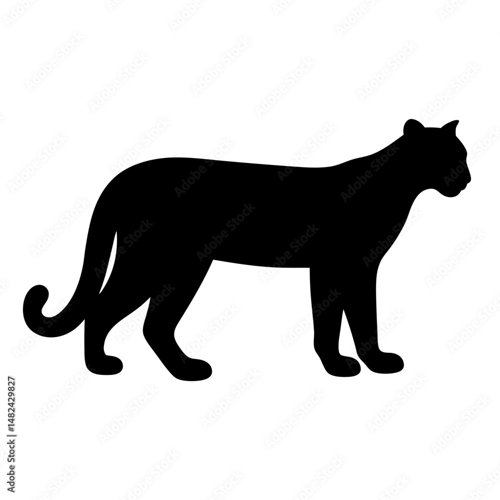 Silhouette of a majestic mountain lion standing still and observing its surroundings Silhouette of a majestic mountain lion standing still and observing its surroundings