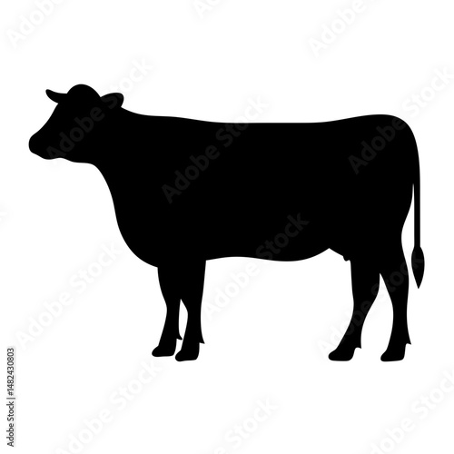 Silhouette of a Beef Cow Standing Still on a White Background