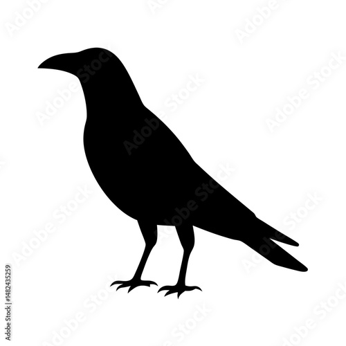 Silhouette of a standing crow against a white background in stark contrast