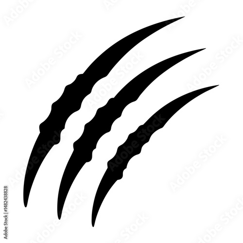 Three distinct claw marks suggesting a wild animal attack or scratch