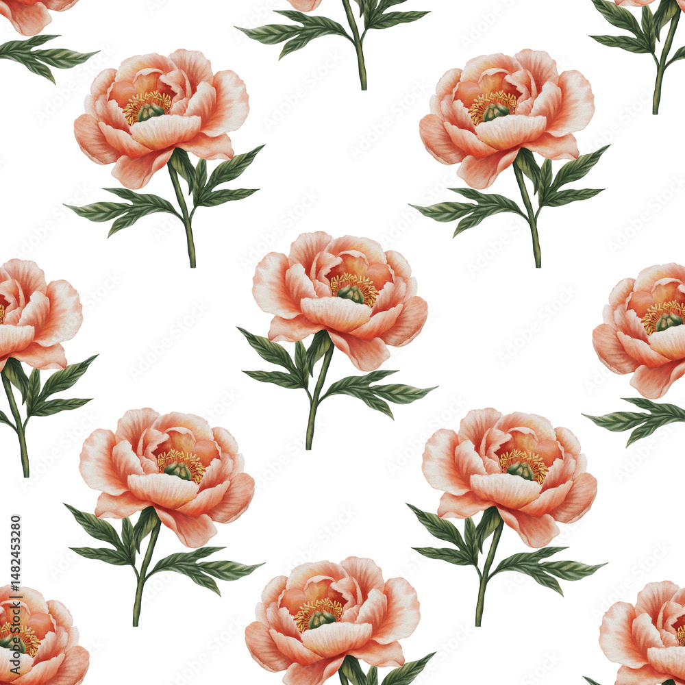 custom made wallpaper toronto digitalSeamless watercolor pattern with peach-colored peonies. Hand-painted delicate flowers isolated on white background. Perfect for wedding stationery, fabric, packaging, and elegant designs.