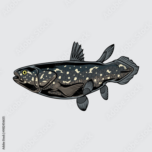 Coelacanth fish simple isolated cartoon illustration with light background