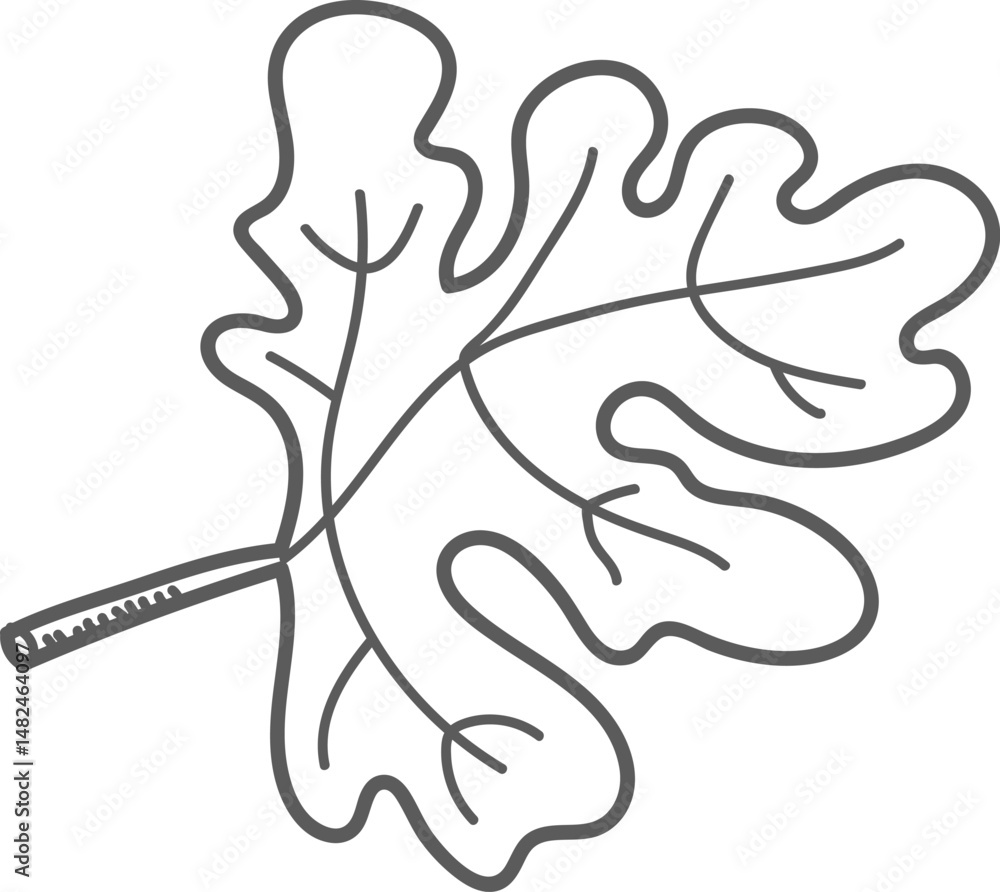 Oak Leaf Line Drawing Oak Leaf Line Drawing