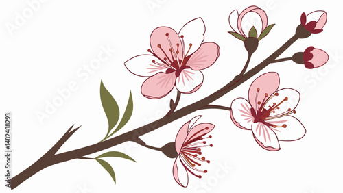 Vector single branch of pink peach blossoms with leaves, showcasing delicate petals and vibrant colors, evokes sense of spring