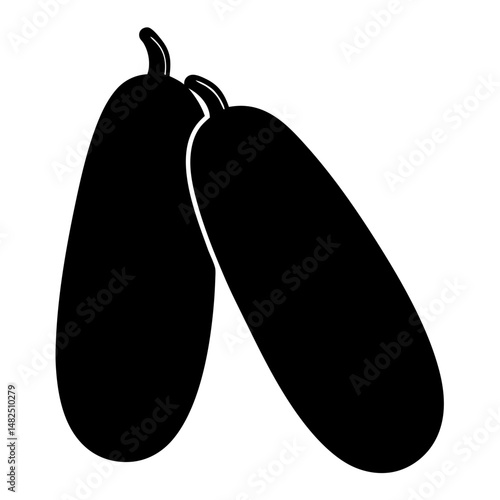 Two zucchini squash illustration on a white background with clean lines