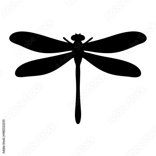 Silhouette of a beautiful dragonfly with symmetrical wings on a white backdrop