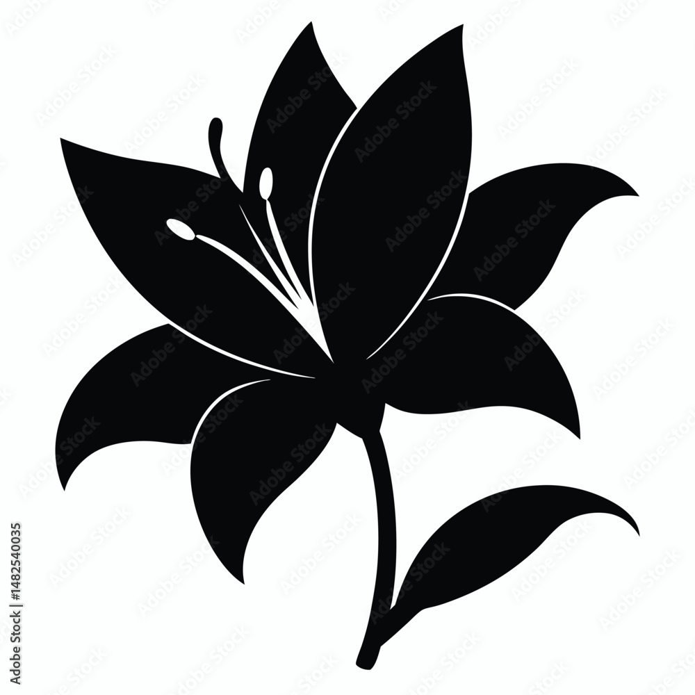 Obraz premium black and white flower