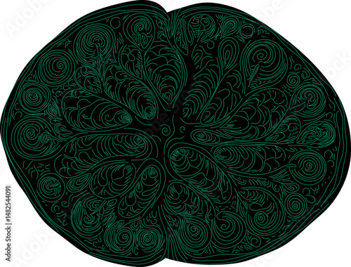 Radial Glia