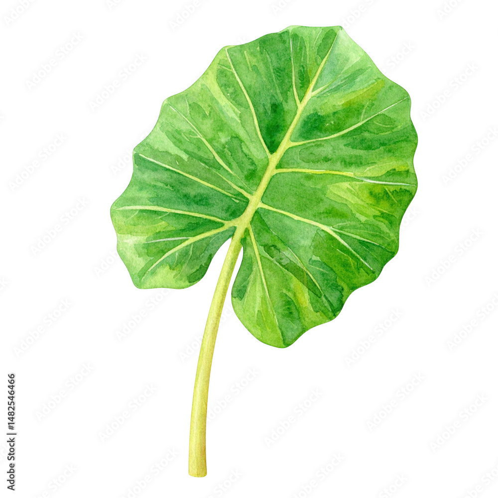 Fototapeta premium Vibrant green tropical leaf watercolor painting isolated transparent background perfect for botanical designs