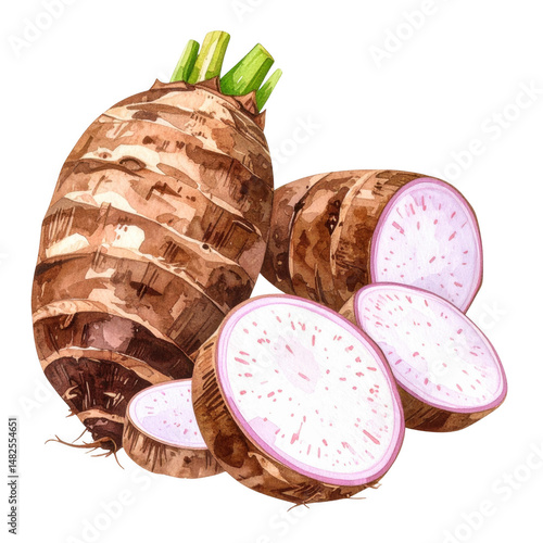 Watercolor illustration of taro root with sliced pieces showing white flesh and purple specks in natural style with green stems and brown textured skin