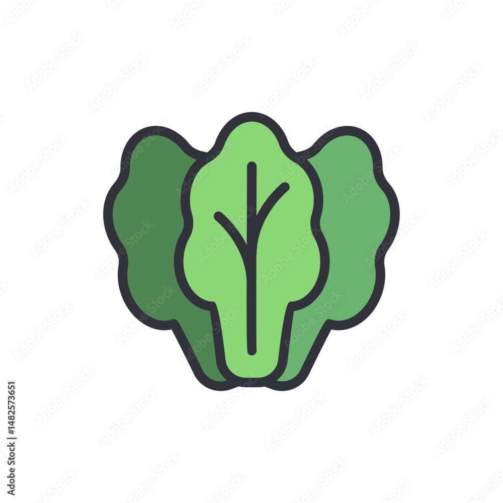 Illustration Of Fresh Green Leaf Lettuce Vegetable For Salad Dish Illustration Of Fresh Green Leaf Lettuce Vegetable For Salad Dish