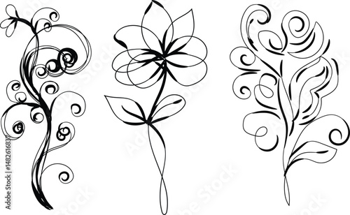 Three Elegant Black Ink Floral Designs Swirls and Curls