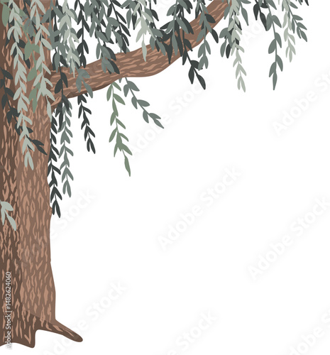 Green weeping willow tree vertical corner frame isolated on white background. Corner tree branches border vector.