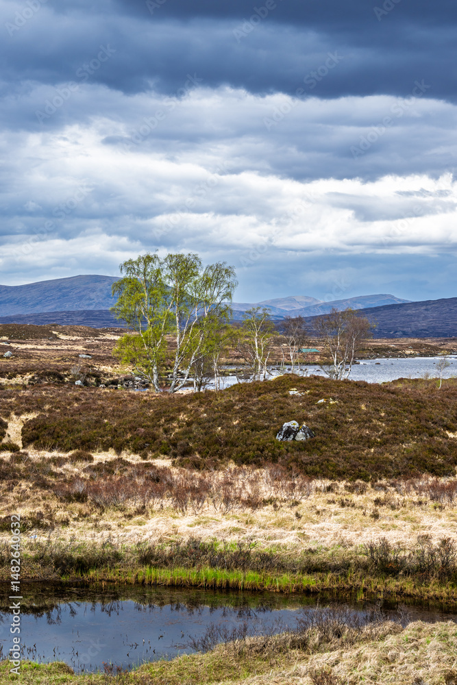 Rannoch Moor over Loch Ba and Loch of the Armpit, A82 Highland Way, Argyll and Bute, West Highlands, Scotland, UK