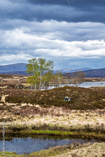 Obraz na płótnie Rannoch Moor over Loch Ba and Loch of the Armpit, A82 Highland Way, Argyll and Bute, West Highlands, Scotland, UK w salonie