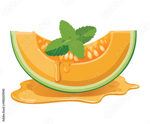illustration of a tropical fruit melon with honey