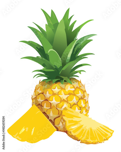 pineapple with pineapple slice - Vector Illustration