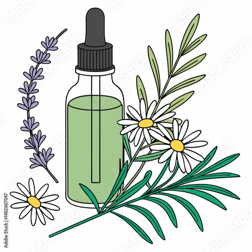 Illustration of serum for the face with herbs. Vector graphics