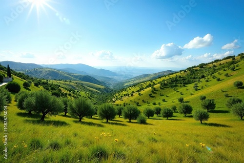 Sunny Andalusian landscape, vibrant green hills & olive groves, view, rural