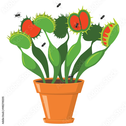silhouette of Venus flytrap plant 