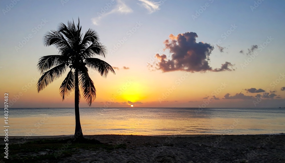 Serene Sunset Silhouette: Palm Tree on Tropical Beach Serene Sunset Silhouette: Palm Tree on Tropical Beach