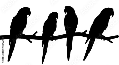 Silhouette Quartet: Parrots on a Branch