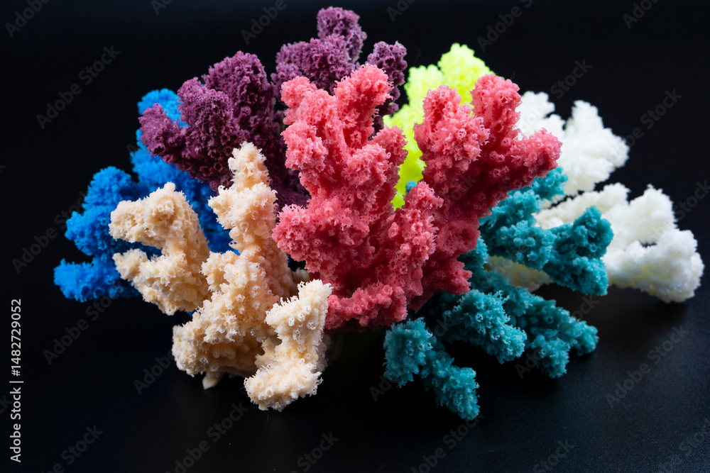 Naklejka premium coral reef in the sea