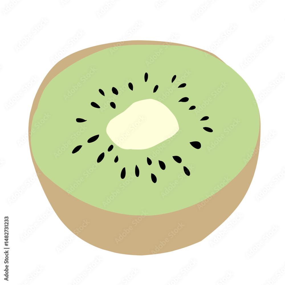 Kiwi Fruit Vector Illustration Kiwi Fruit Vector Illustration