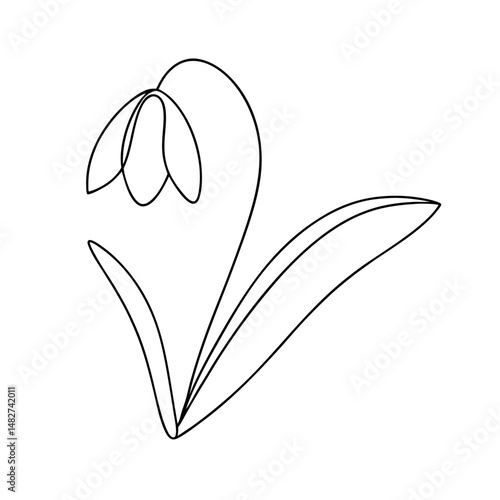 Elegant snowdrop flower illustration crafted with a single flowing line drawing