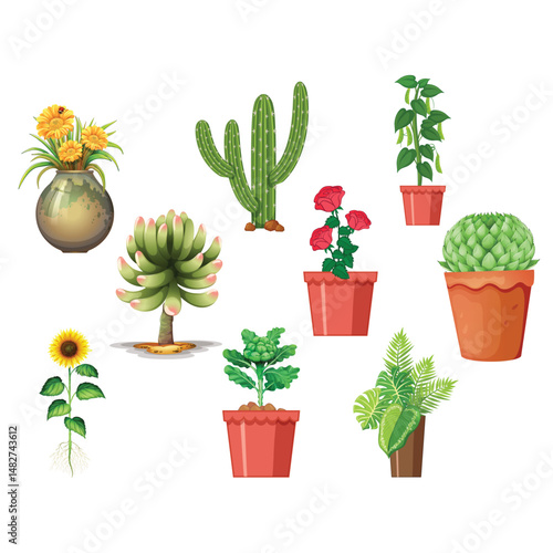 silhouette of a green plants