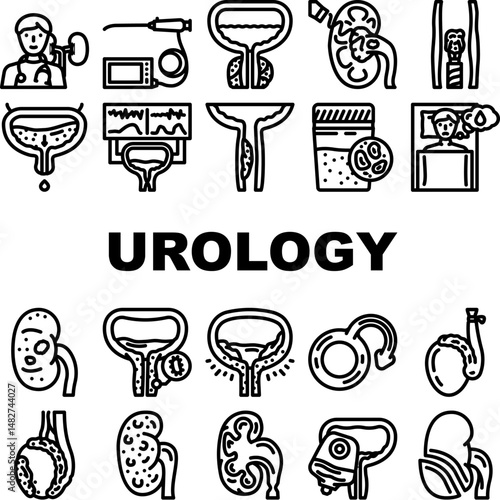 urology nephrology prostate icons set vector
