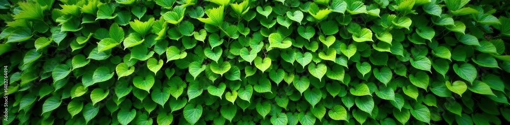 Obraz premium Intricate green hedge wall, close-up, repeating pattern, illustration, hedge, detail