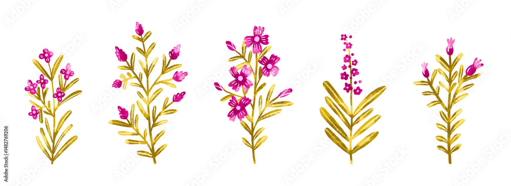 Plant set. Pink wild field spring herbs and flowers watercolor hand drawn blossom illustration on isolated background. Petal greenery Plant set. Pink wild field spring herbs and flowers watercolor hand drawn blossom illustration on isolated background. Petal greenery