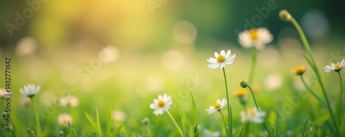 Dreamy, out-of-focus grass blossoms; vintage filter, hazy background , light, pastel
