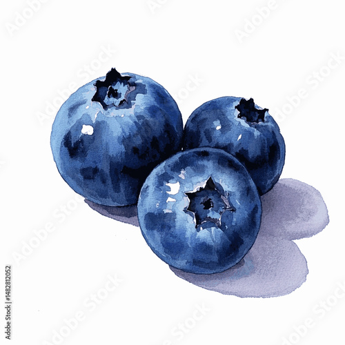 Midnight Blue: Watercolor Berry Bounty blueberry isolated vector illustration svg
