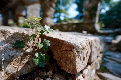 Wallpaper Mural A green plant thrives in a rugged stony landscape, symbolizing determination and the beauty of life against hardships, showcasing nature's incredible strength and artistry. Torontodigital.ca