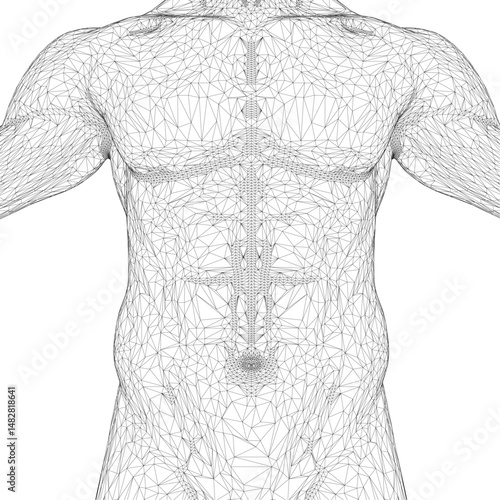 A man's torso is shown in a black and white photo with a lot of detail. The image is a representation of a man's body, with the torso being the main focus. The illustration is a stylized