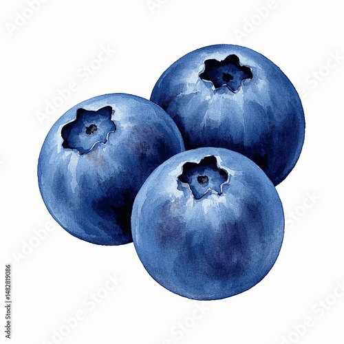 Azure Berry Flow: A Watercolor Study blueberry isolated vector illustration svg