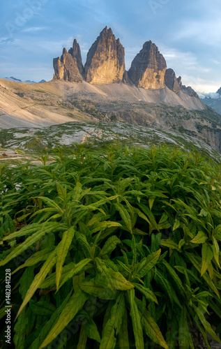 Tre Cime, Unesco Dolomites Italy