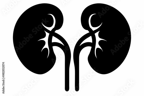 kidneys silhouette line art vector illustration with a white background