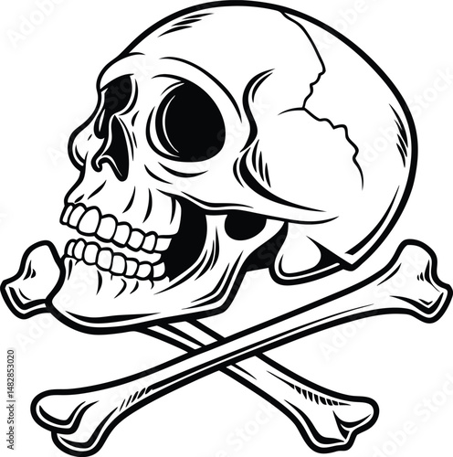 pirate skull and crossbones