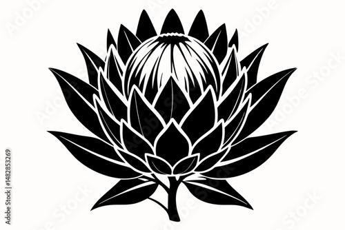 king protea flower silhouette line art vector illustration with a white background