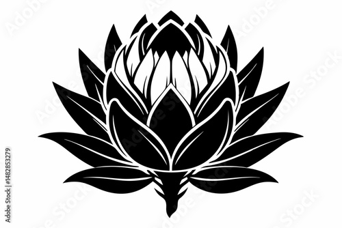 king protea flower silhouette line art vector illustration with a white background