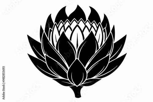 king protea flower silhouette line art vector illustration with a white background