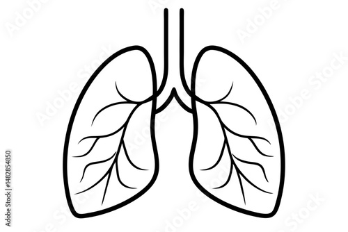 lungs silhouette line art vector illustration with a white background