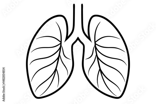lungs silhouette line art vector illustration with a white background