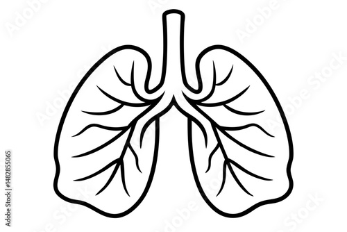 lungs silhouette line art vector illustration with a white background